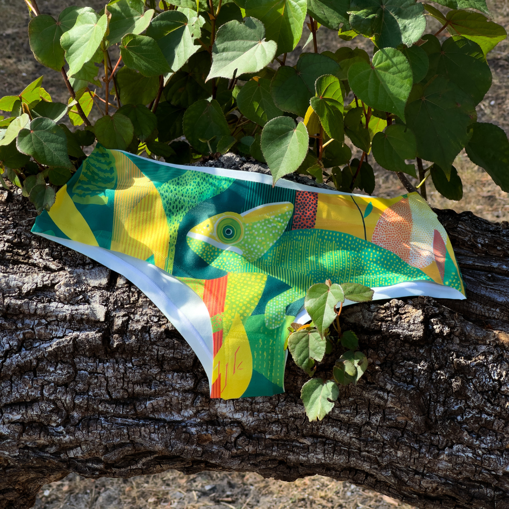 Monokini / culotte Endormi